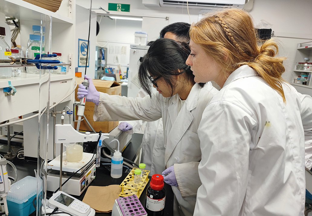 Bio-Materials Engineering – Tohoku University