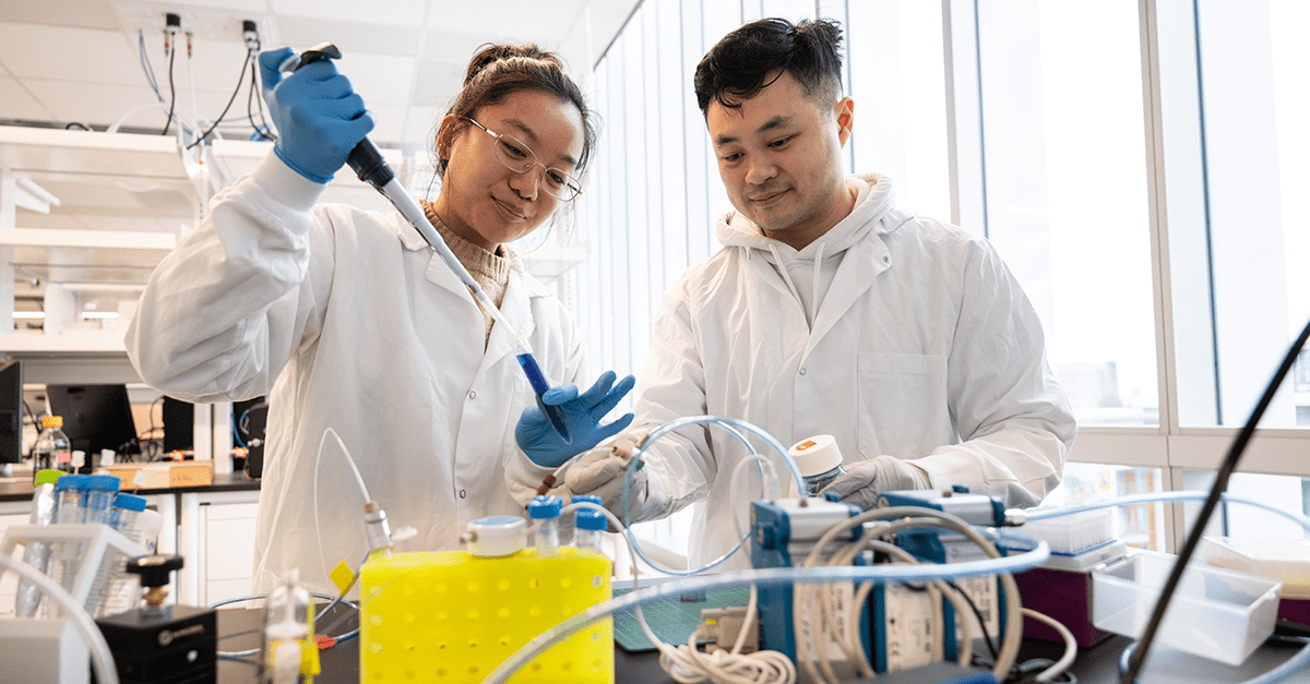 Health and Life Sciences: The University of British Columbia (UBC), Canada