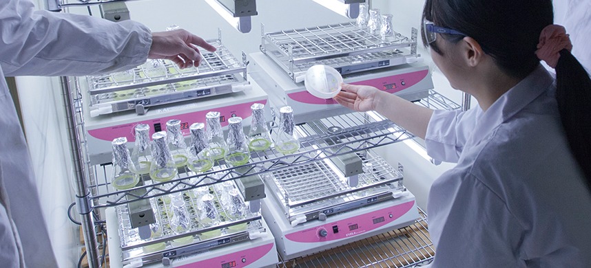 Bio-Materials Engineering: Tohoku University