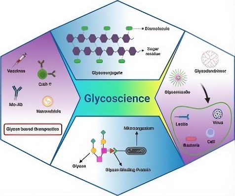 Glycosciences – University of Groningen