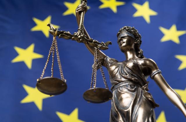 Defending the Rule of Law in Europe (Law/European Studies): Radboud University Nijmegen