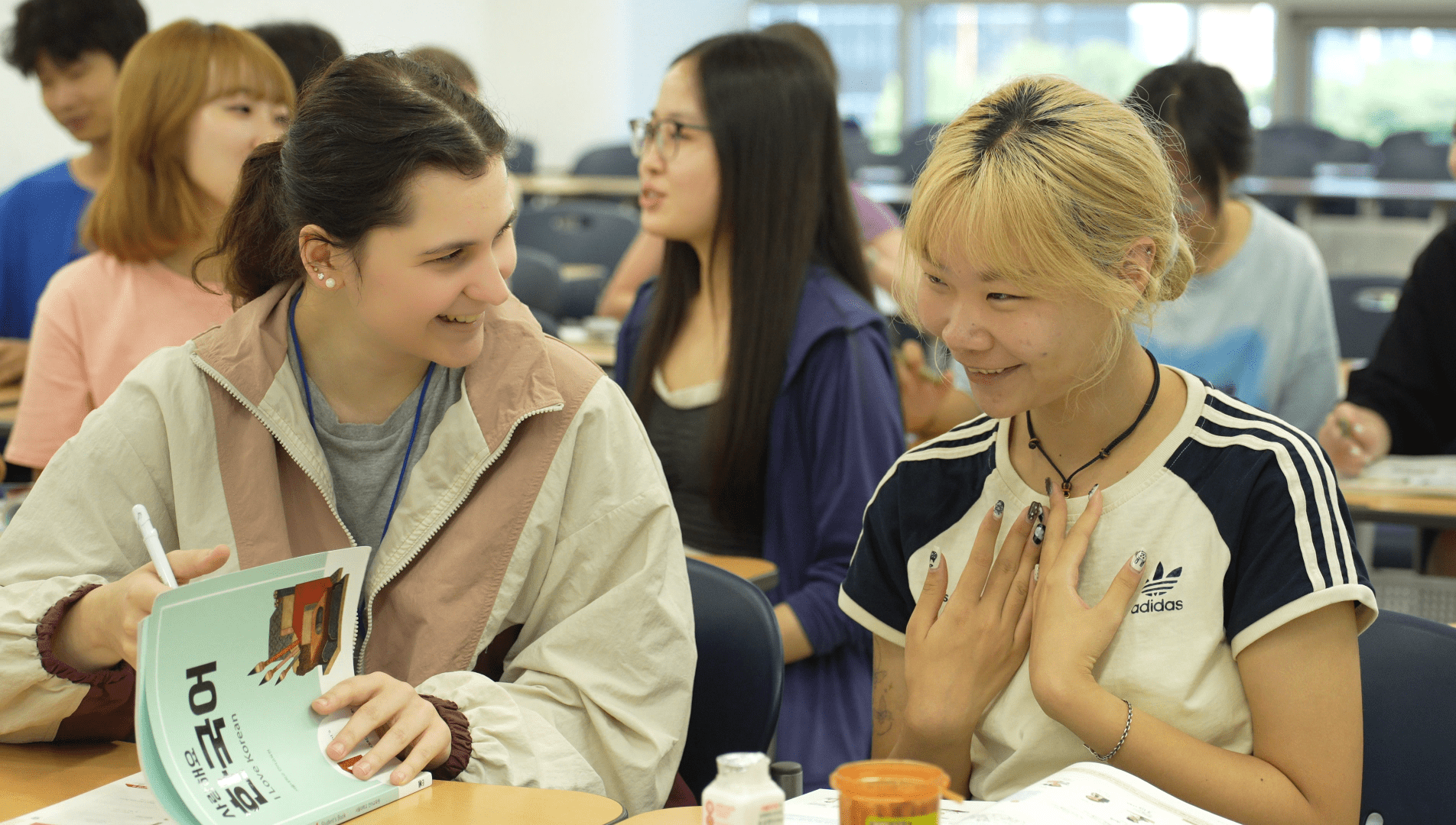 Korean Language Classes at All Levels: Kyungpook National University