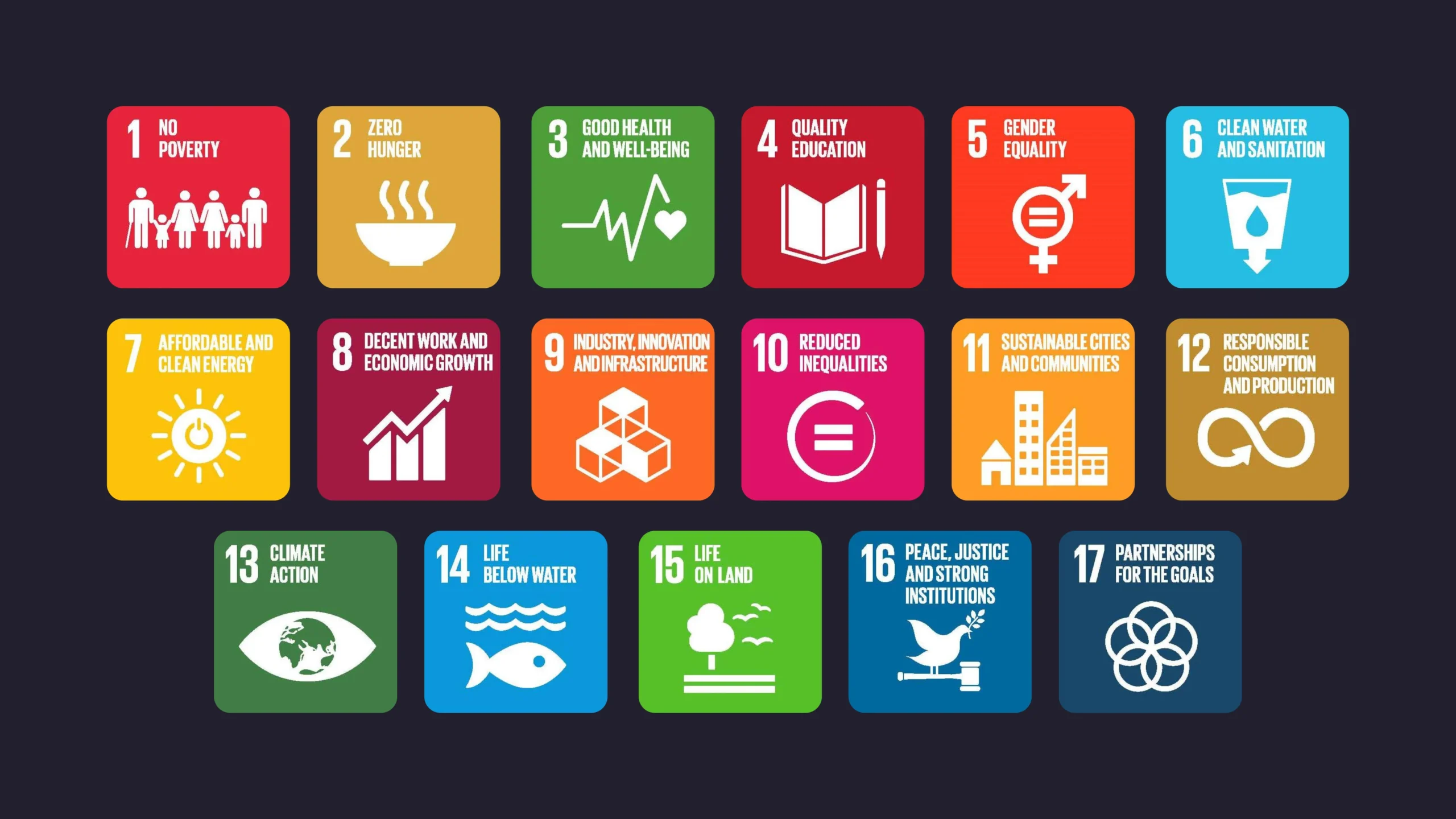 United Nations’ 17 Sustainable Development Goals and Co-Creation: VIA University College
